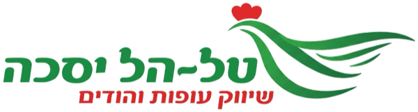 טל-הל יסכה